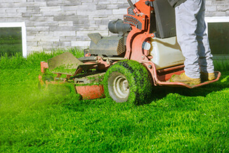 Contato de Empresa de Paisagismo e Jardinagem Engenhoca - Serviço de Paisagismo Jardim Residencial