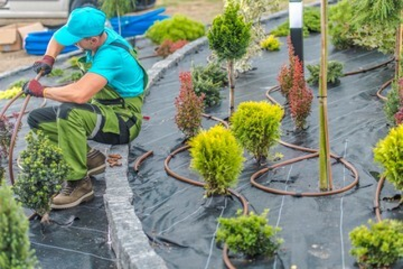 Contato de Empresa de Paisagismo Icaraí - Serviço de Paisagismo Jardim Residencial