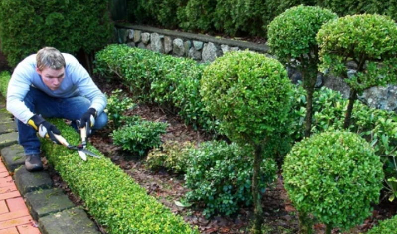 Empresa de Jardinagem Condominio Neves - Paisagismo de Jardim com Pedras