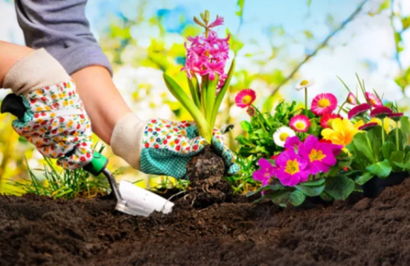 Empresa de Jardinagem para Condomínios Jardim Atlântico - Jardinagem para Empresas