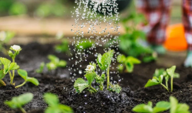 Empresa de Paisagismo e Jardinagem em Pequenos Espaços Piquete - Jardinagem e Limpeza de Terreno