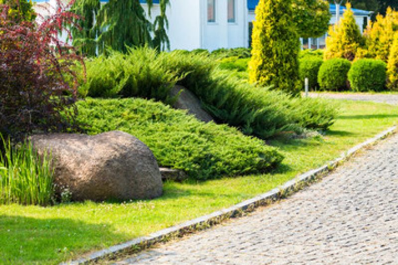 Empresa de Paisagismo Telefone Maria Paula - Empresa de Jardinagem e Paisagismo