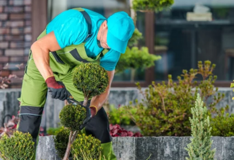 Empresa Que Faz Manutenção de Jardim Corte de Grama Vital Brasil - Manutenção de Jardim Contemporâneo