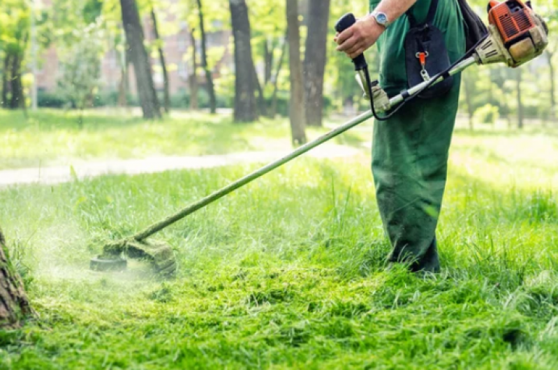 Empresa Que Faz Manutenção Jardins Niterói - Manutenção do Jardim