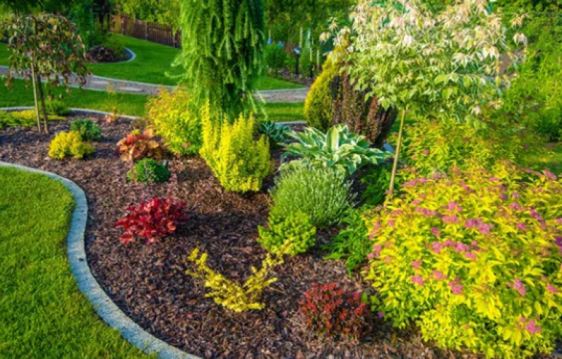 Jardinagem e Limpeza de Terreno Preço Barroco - Paisagismo de Jardim com Pedras