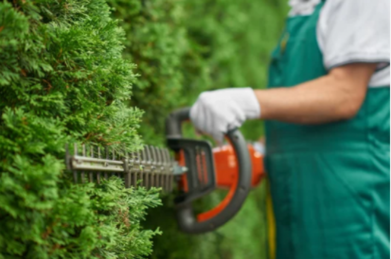 Jardinagem e Paisagismo com Pedras Preço Inoa - Paisagismo de Jardim com Pedras