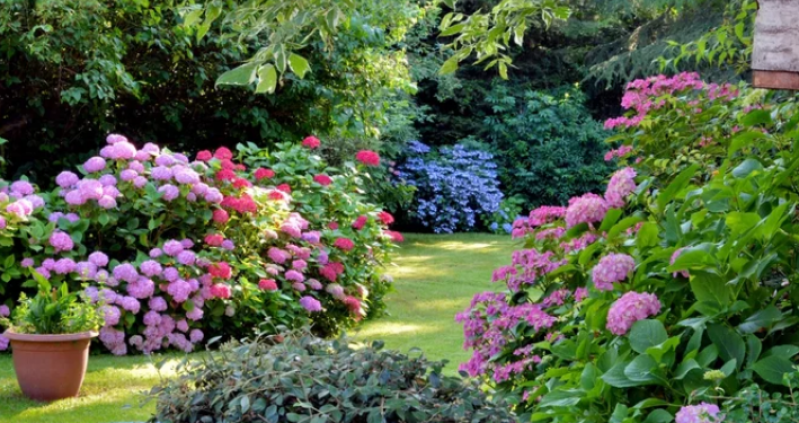 Manutenção de Jardim Contemporâneo Orçamento Mumbuca - Manutenção Jardins