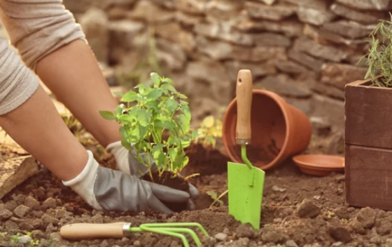 Manutenção de Jardim Corte de Grama Orçamento Rio de Janeiro - Manutenção de Jardins de Condomínios