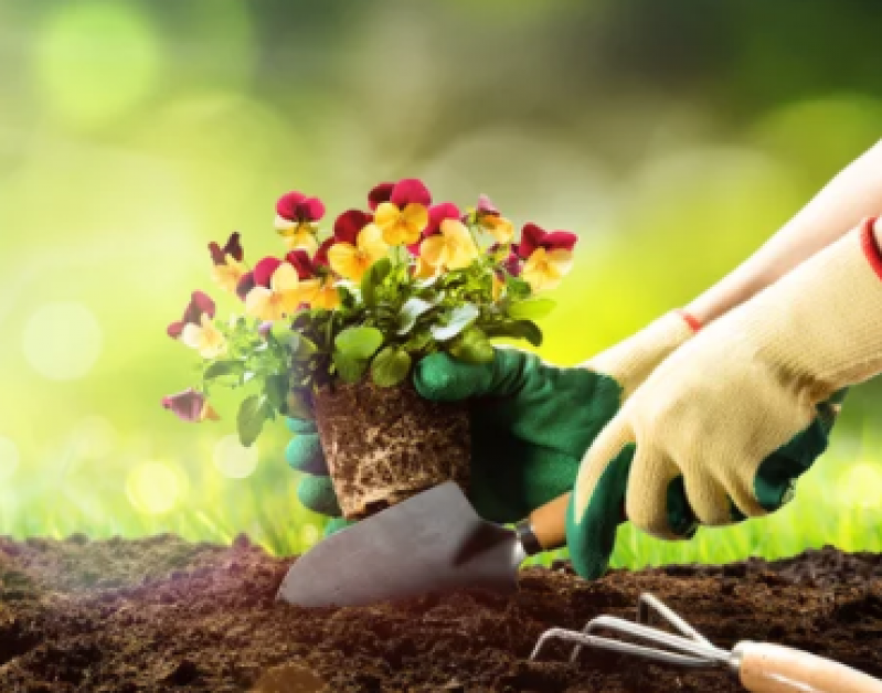 Manutenção de Jardim e Reposição de Flores Engenhoca - Manutenção de Grama Sintetica no Jardim
