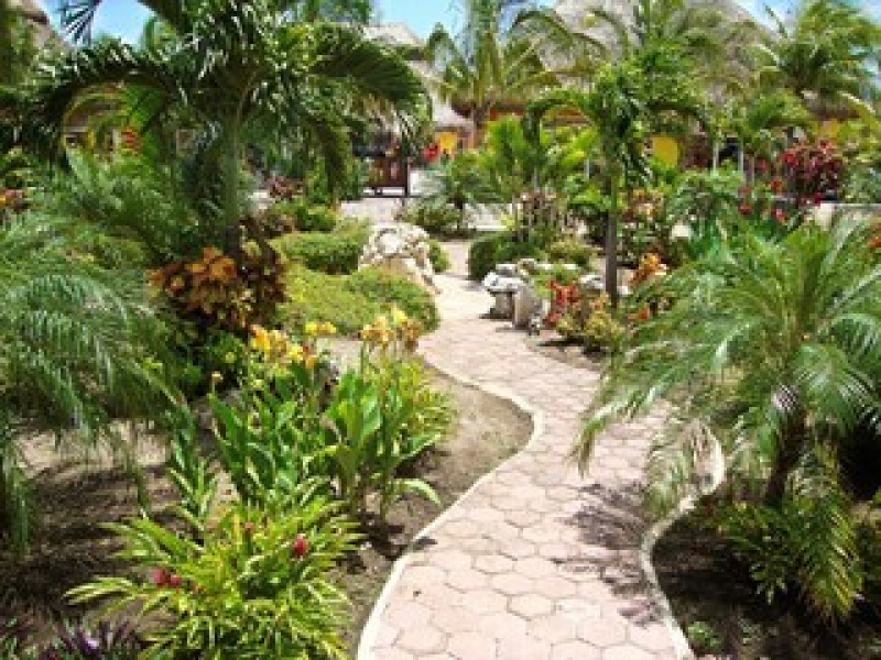 Manutenção de Jardins em Condomínios Serra Grande - Serviço de Manutenção de Jardim