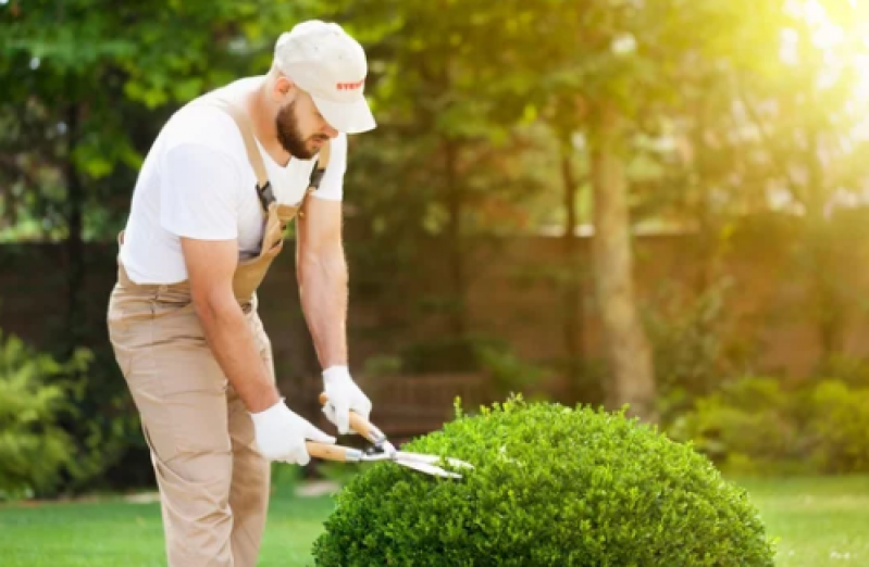 Manutenção do Jardim Orçamento Itaipuacu - Manutenção de Jardins de Condomínios