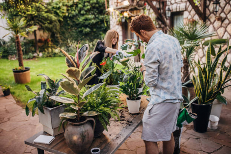 Onde Comprar Vaso para Parede Camburí - Vaso Grande para Jardim