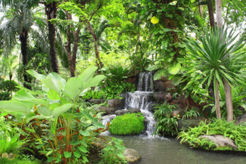 Onde Fazer Manutenção de Jardim Vertical Rio de Janeiro - Manutenção de Jardim