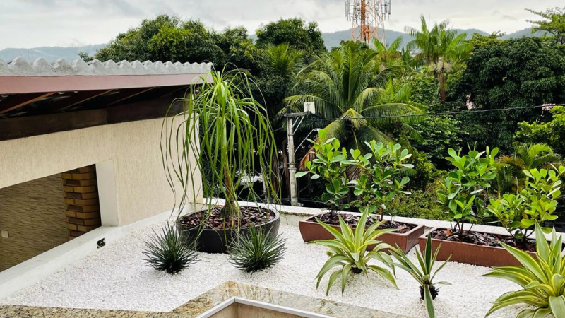 Onde Fazer Manutenção de Jardim Barroco - Itaipuaçu - Manutenção de Jardim Vertical