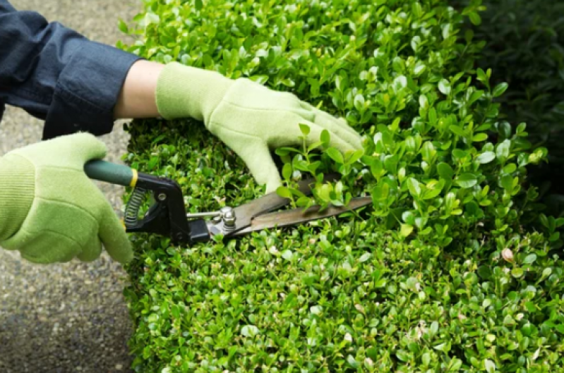 Paisagismo de Jardim com Pedras Preço Icaraí - Jardinagem para Condomínios