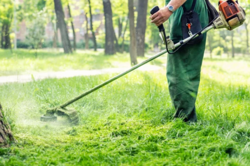Serviço de Jardinagem e Limpeza de Terreno Charitas - Jardinagem e Limpeza de Terreno