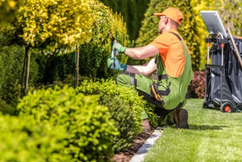 Serviço de Jardinagem para Empresas Charitas - Paisagismo de Jardim com Pedras