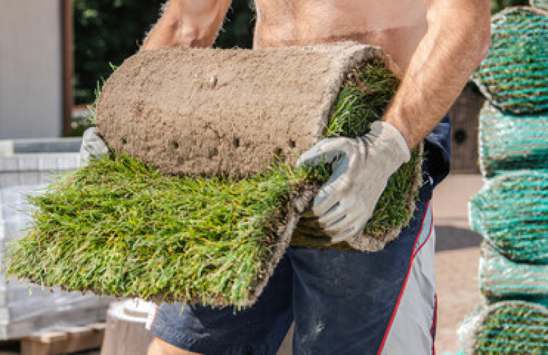 Serviço de Paisagismo Residencial Preço Itaipuacu - Paisagismo e Jardinagem em Condomínios