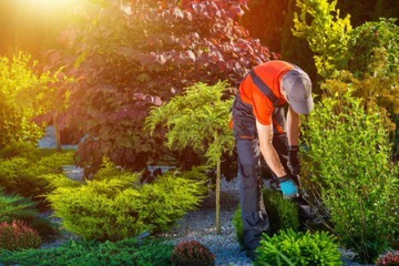 Serviço de Paisagismo Residencial Largo da Batalha - Serviço de Jardinagem e Paisagismo