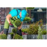 jardinagem para empresas Maravista