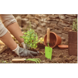 manutenção de jardim corte de grama orçamento Piquete