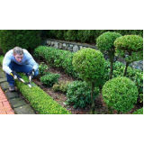 manutenção de jardim e reposição de flores orçamento Engenhoca