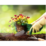 manutenção de jardim e reposição de flores Sape