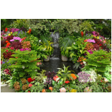 Manutenção de Jardim Exterior