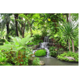 Manutenção de Jardim Vertical