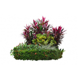 Serviço de Manutenção de Jardim