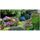 Manutenção de Grama Sintetica no Jardim