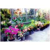 paisagismo e jardinagem em condomínios Santa Bárbara