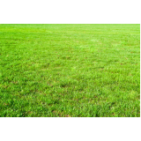 Empresa de Plantio de Grama