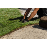 Plantio de Grama em Rolo