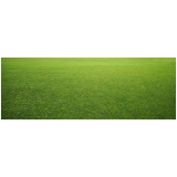 Plantio de Grama Natural