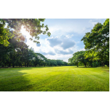 Plantio de Grama Rio de Janeiro