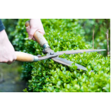 serviço de manutenção de jardim corte de grama Tribobo