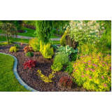 Jardinagem e Paisagismo Perto de Mim