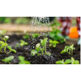 Paisagismo e Jardinagem em Pequenos Espaços