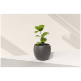 Vaso Polietileno Grande