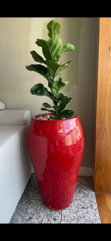 Vaso de Flor Grande Vital Brasil - Vaso para Planta Niterói