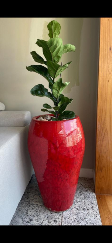 Vaso de Flor Grande Gragoata - Vaso para Planta Rio de Janeiro