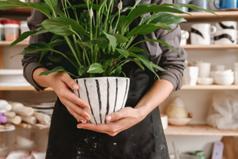 Vaso Grande para Jardim Santa Bárbara - Vaso de Planta